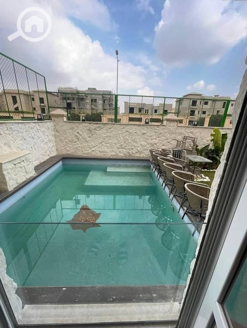 5 photo_2025-03-17_00-12-31. jpg