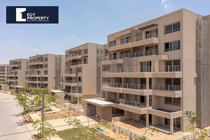 5 _files_WhatsApp Image 2025-01-14 at 11.36. 33 AM. jpeg