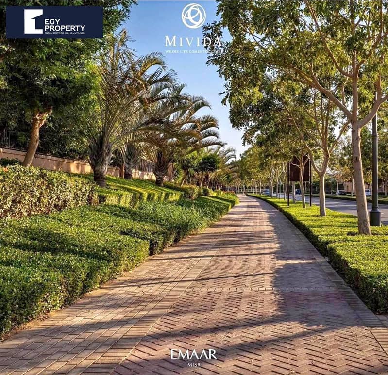 3 WhatsApp Image 2025-11-05 at 1.42. 34 AM. jpeg