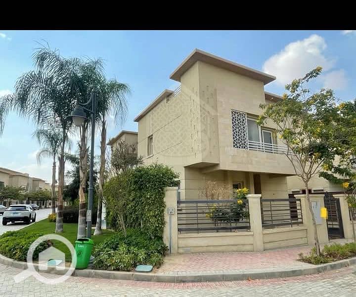 6 Background (2). png