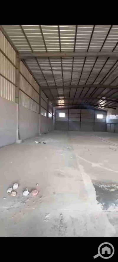 Factory for Rent in 10th of Ramadan, Sharqia - 1000106417. jpg