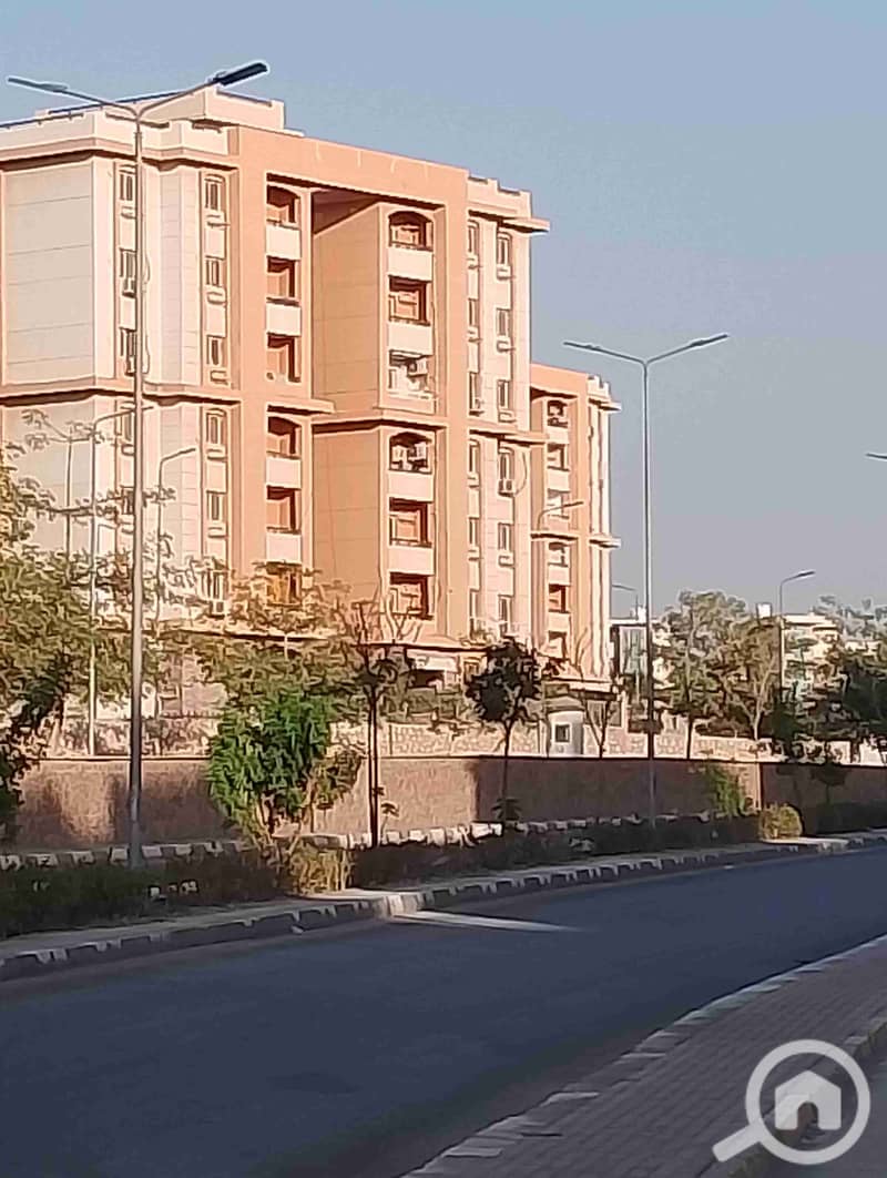 1000184164. jpg 1000184164. jpg