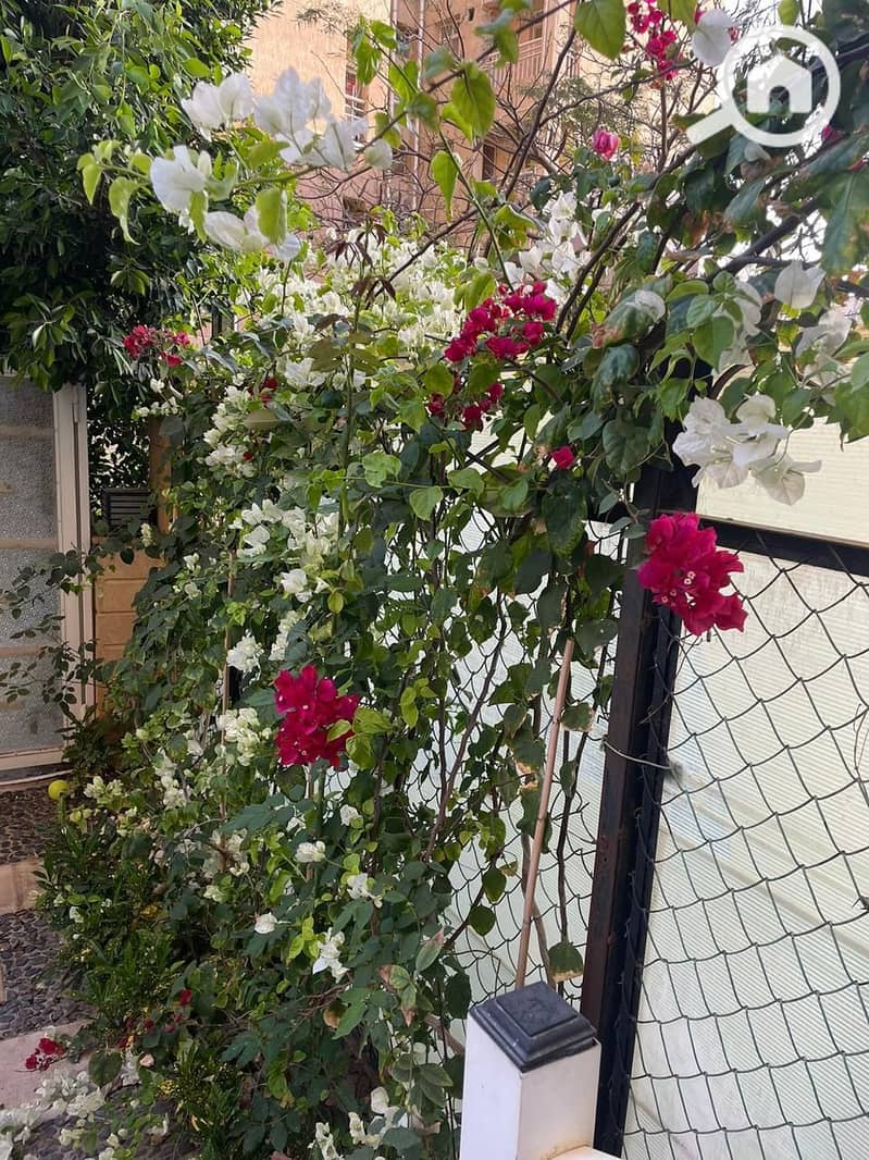 8 whatsapp image 2025-10-14 at 2.09. 35 pm (3). jpeg