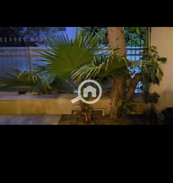 5 c6833070-d106-4ae7-9f34-24467a5b15a6. jpeg