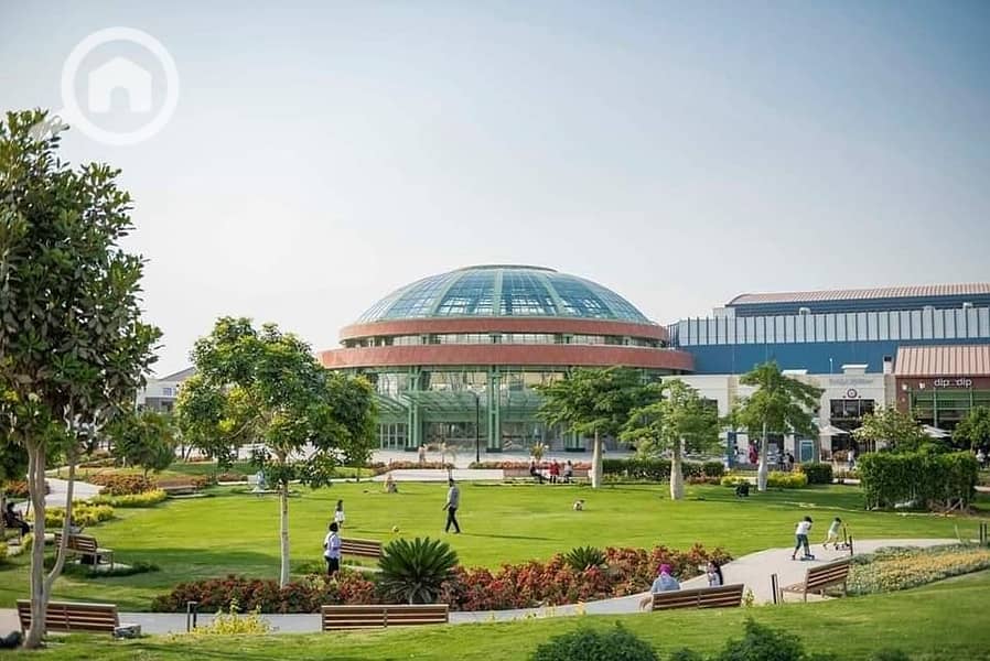 6 316424615_5734372593285764_4917198185680945830_n. jpg