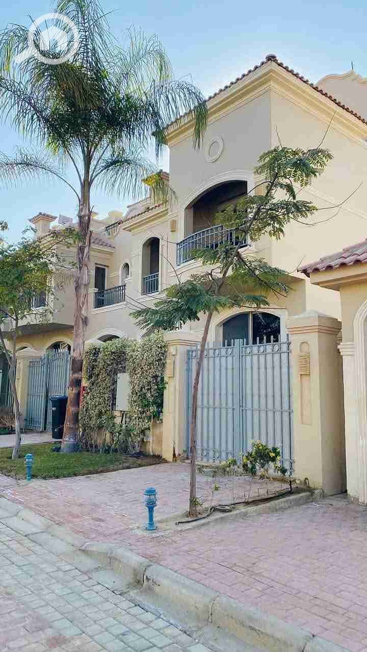 1000370605. jpg 1000370605. jpg