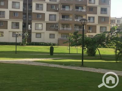 3 Bedroom Apartment for Sale in Madinaty, Cairo - WhatsApp Image 2025-11-05 at 18.41. 30_29359e5f. jpg