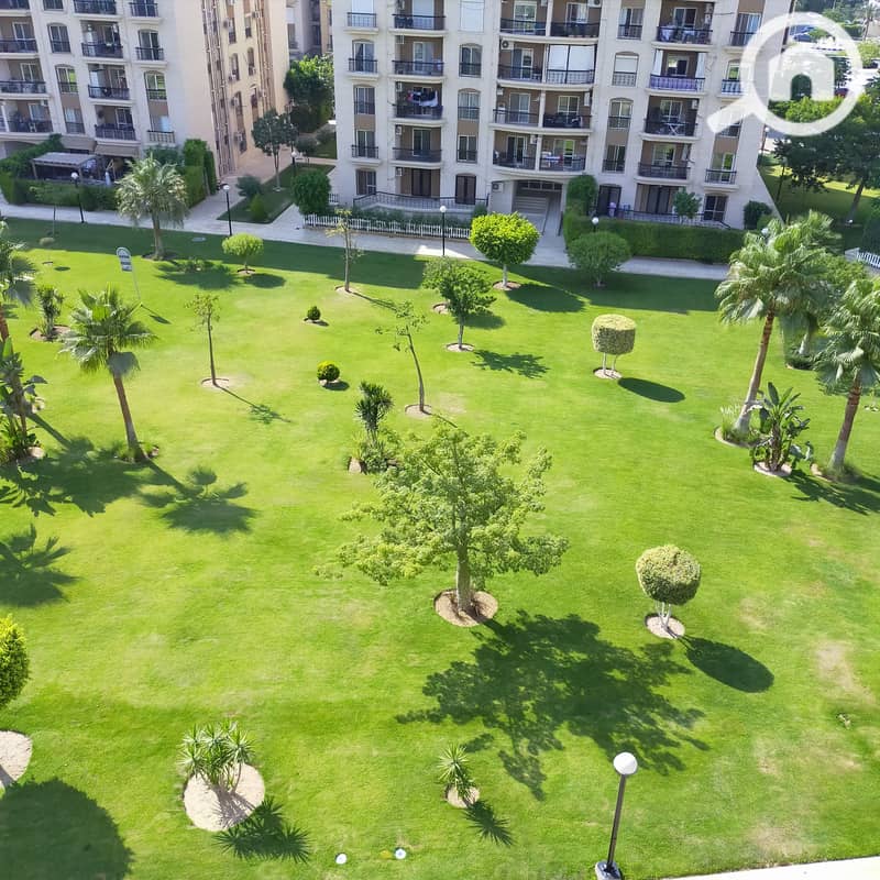 2 IMG20210711154849. jpg