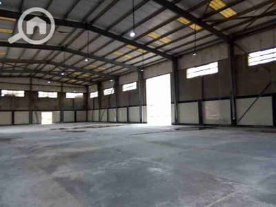 Factory for Rent in Badr City, Cairo - 1000239888. jpg