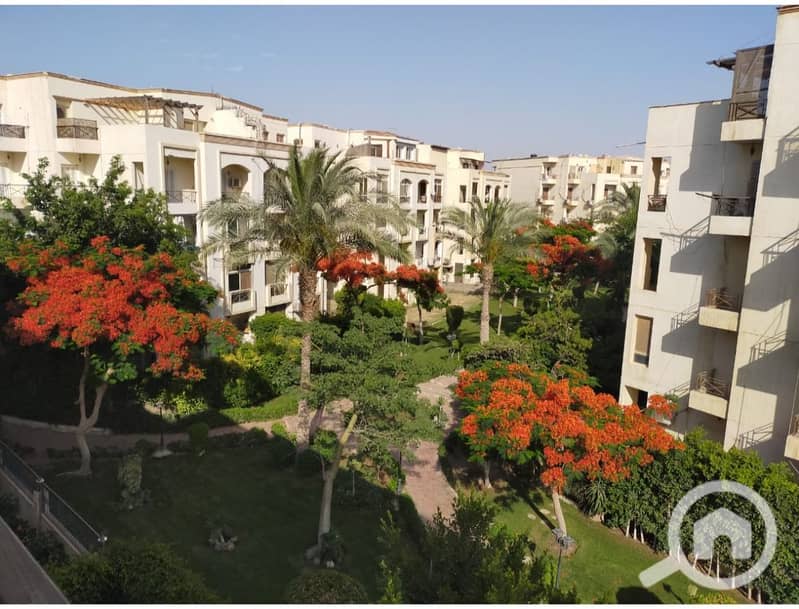 5 WhatsApp Image 2025-11-03 at 1.26. 05 PM (1). jpeg