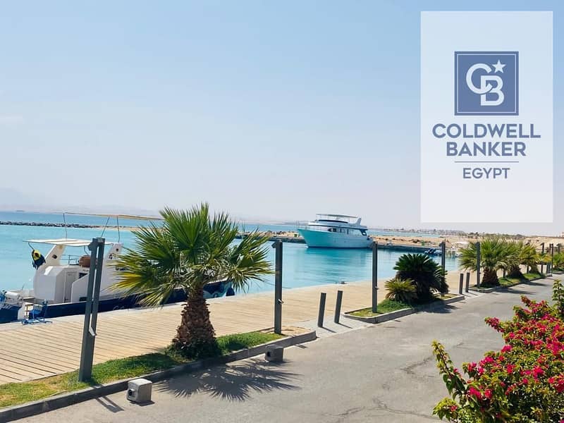 4 WhatsApp Image 2025-07-05 at 15.38. 50_f6d8cf01. jpg