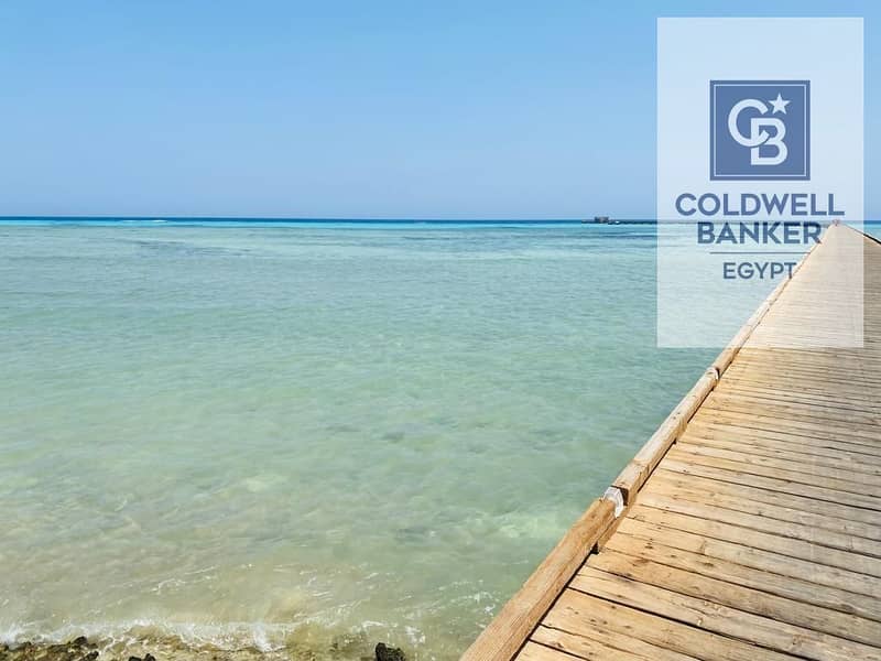 4 WhatsApp Image 2025-07-05 at 15.38. 52_33334b7d. jpg