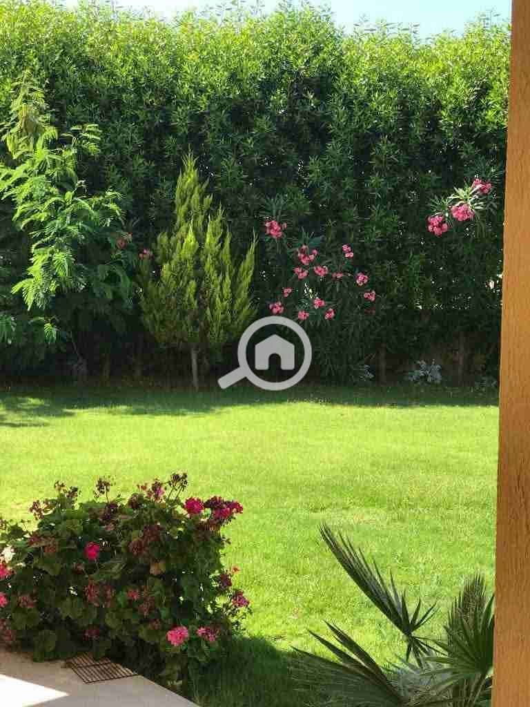 3 IMG-20251104-WA0295. jpg