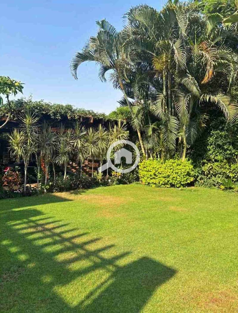 8 IMG-20251026-WA0010(5). jpg