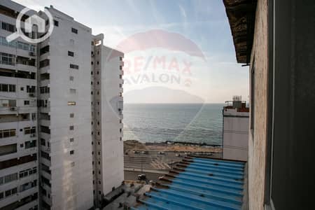 فلیٹ 4 غرف نوم للبيع في ميامي، الإسكندرية - 1. JPG