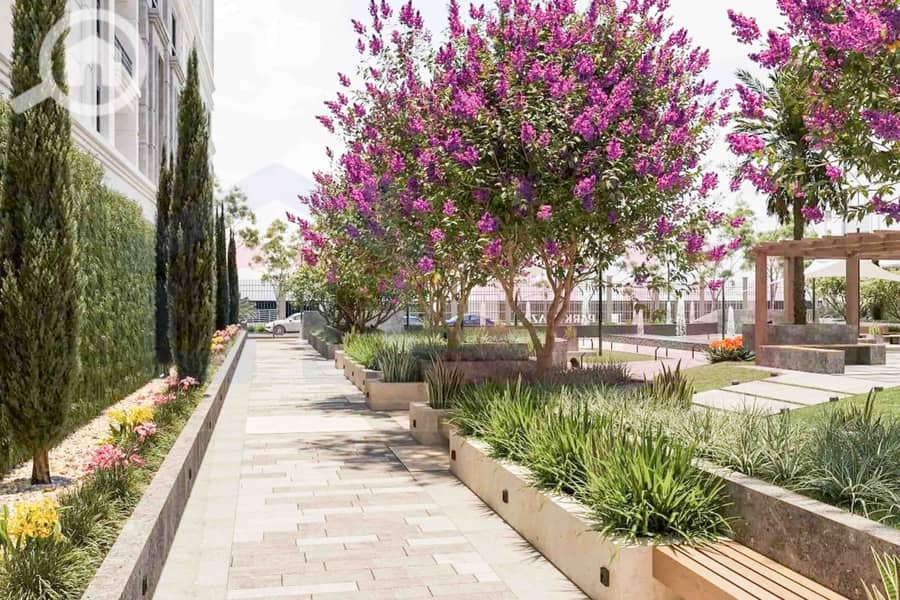 8 IMG-20251012-WA0056. jpg