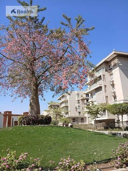 4 532064545_1298400918534549_3644523711421983607_n. jpg