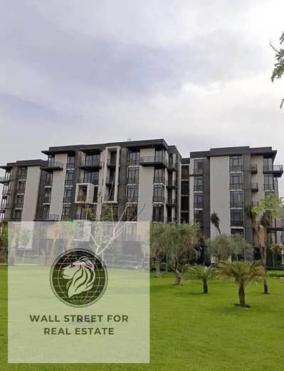 استوديو  للبيع في مدينتي، القاهرة - 498632759_1230564412070080_8933156676313545026_n. jpg