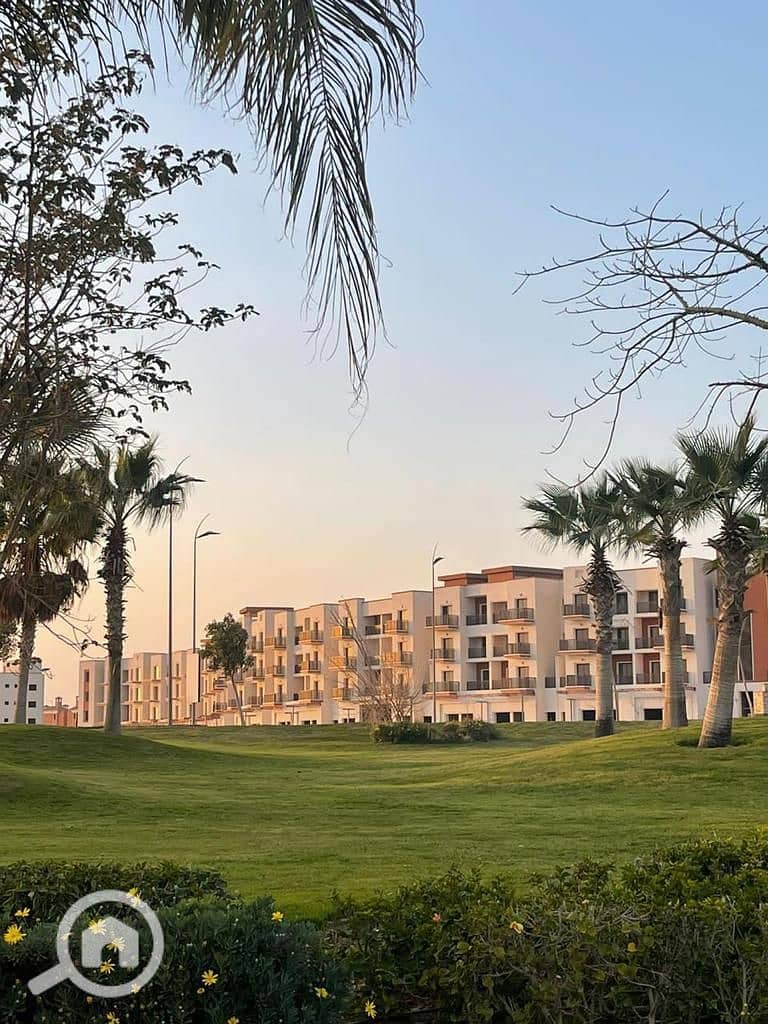 4 2024_07_24_23_05_IMG_2214. JPG