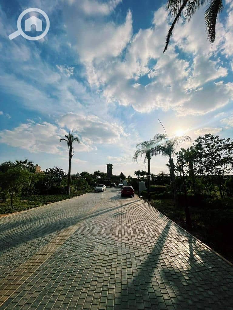 7 2024_07_24_23_05_IMG_2217. JPG