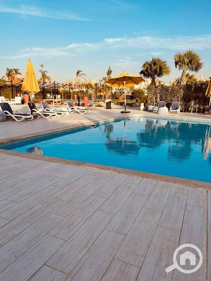 25 2024_10_12_11_15_IMG_2241. JPG