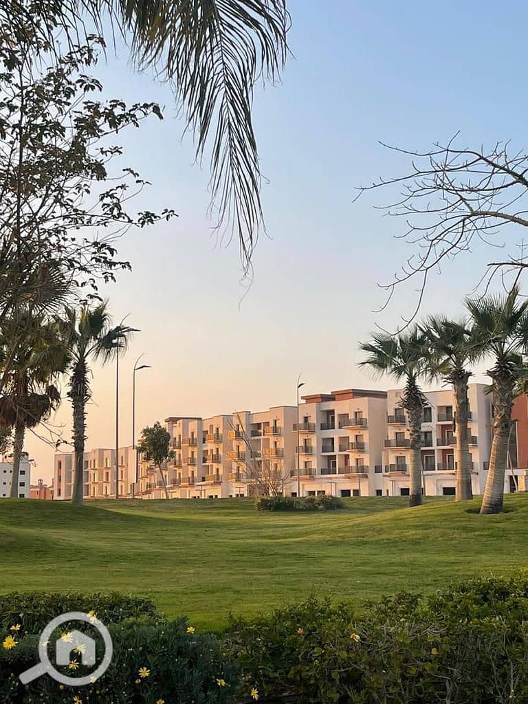 27 2024_10_26_14_24_IMG_2237. JPG