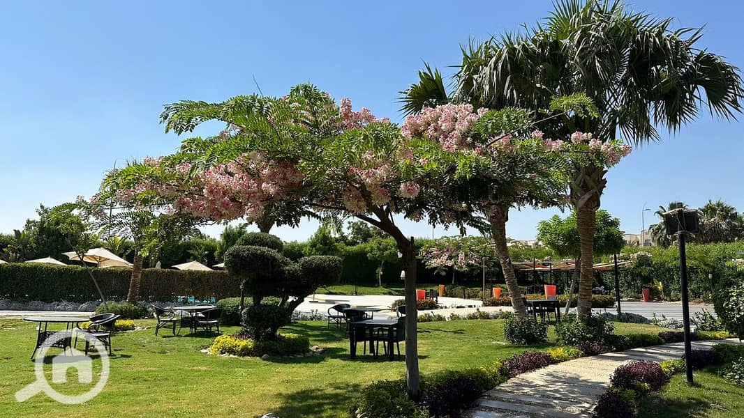 30 2024_10_26_14_24_IMG_2243. JPG