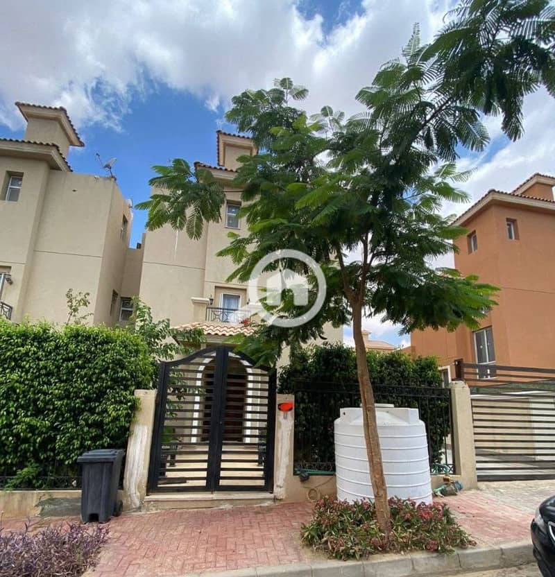 38 2025_05_31_16_25_IMG_2195. JPG