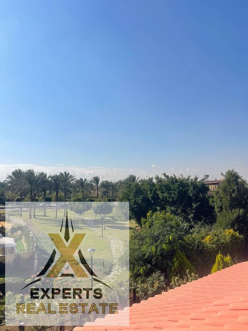 3 482dd378-d9d3-46b5-b228-2238f4653f17. jpg