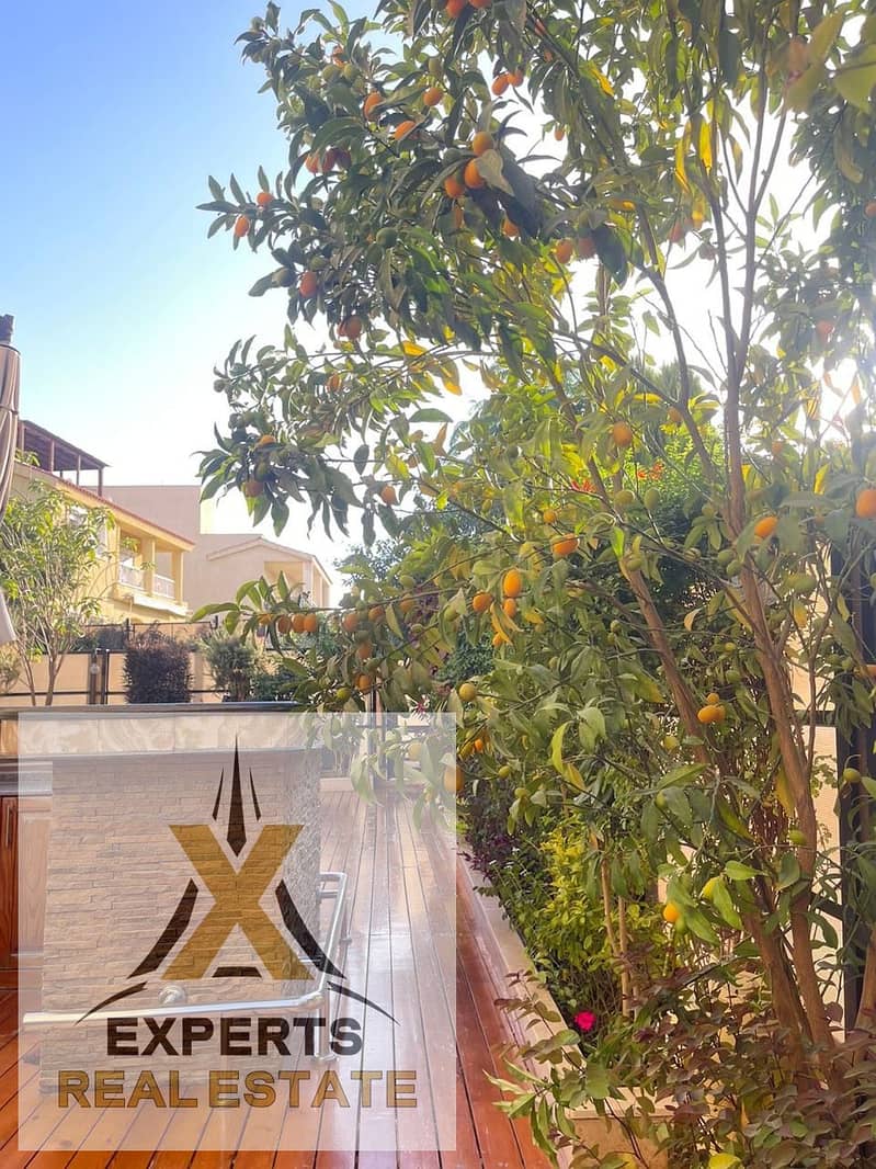 9 6619e030-7a95-4453-b64f-de99351bcbee. jpg