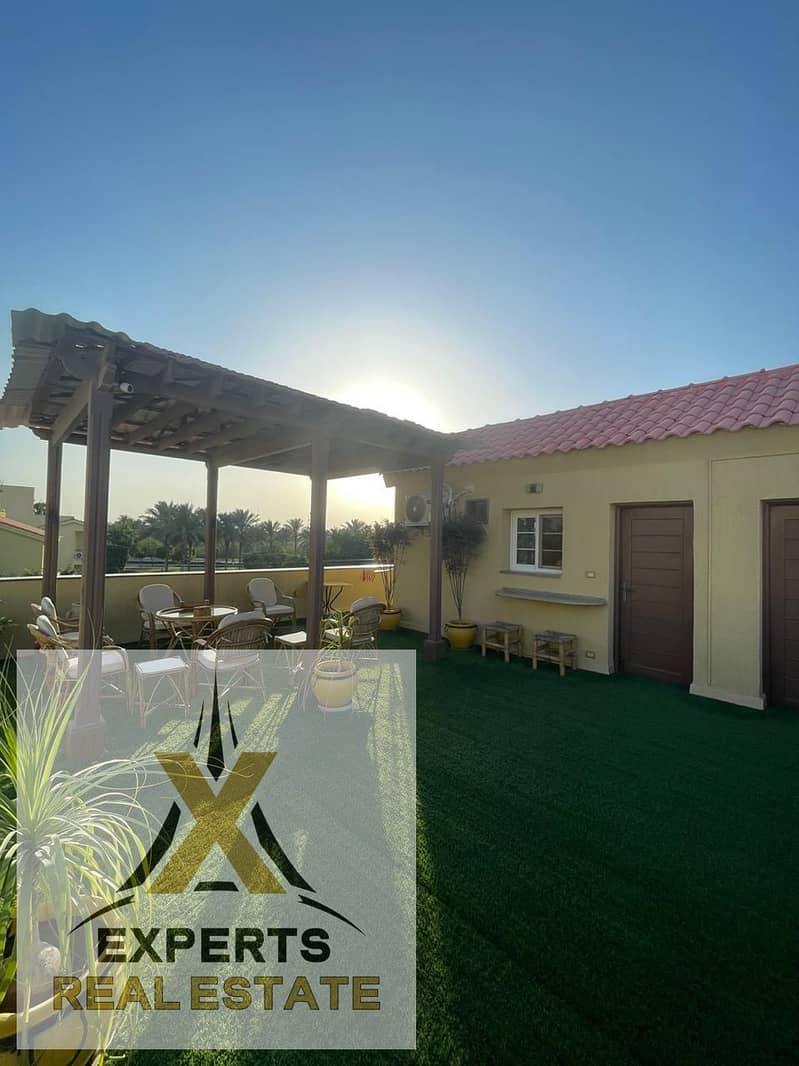 12 d6e6e9ad-c194-4898-88aa-b14f5dafd569. jpg