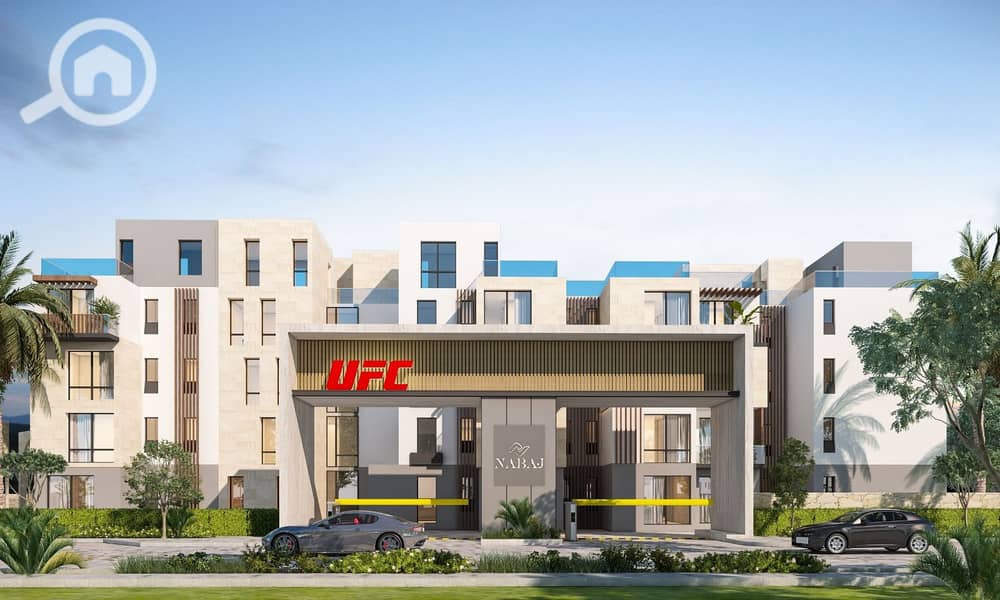 IMG-20251007-WA0092. jpg IMG-20251007-WA0092. jpg