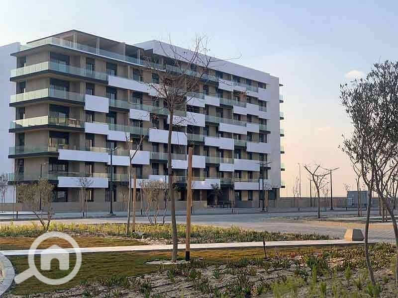 8 WhatsApp Image 2025-11-03 at 11.05. 43 AM. jpeg