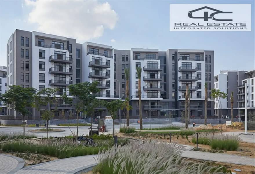 12 6473142-c8e69o. png