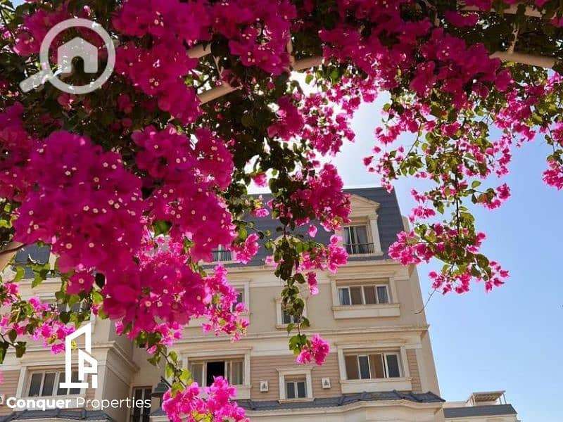 7 Untitled design - 2023-11-30T155914.493. png