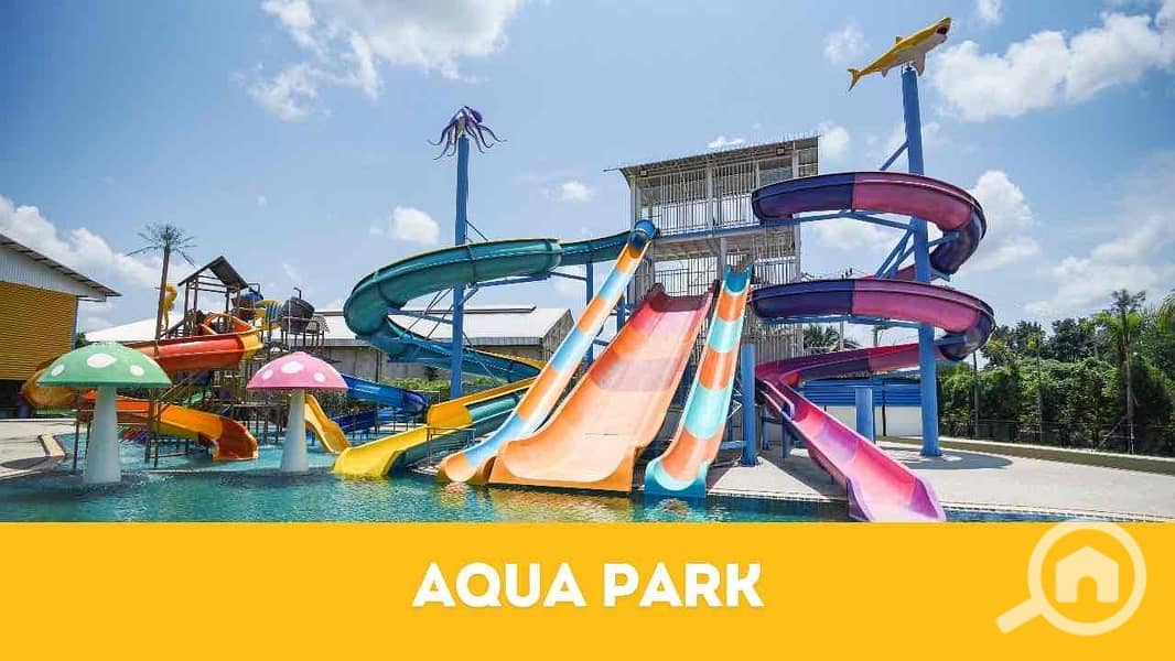 11 222909dc-5a74-4872-ae18-f0252b6d3a6a. jpg