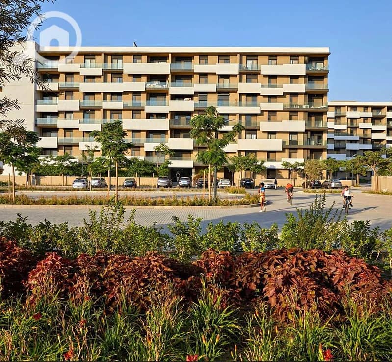 10 2235ff10-bbf8-4565-9493-2b3e0455ef4b. jpg