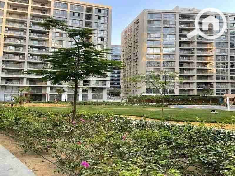 1000478015. jpg 1000478015. jpg