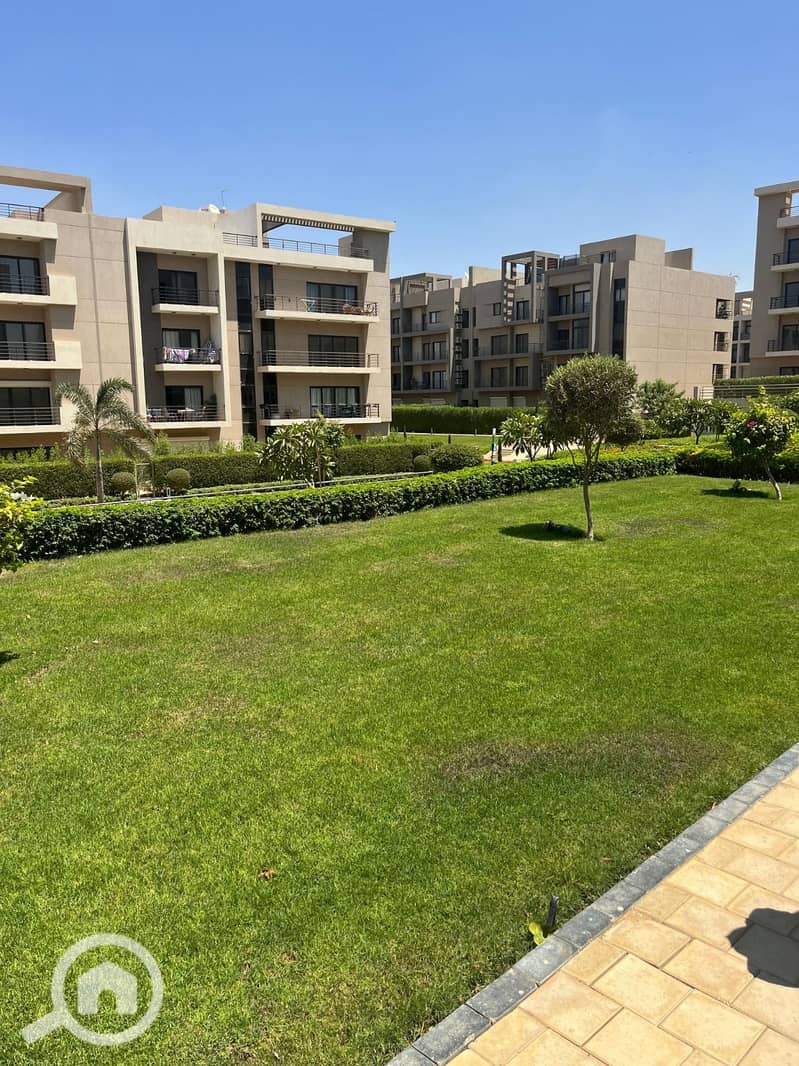 6 537026da-181d-4f22-bdba-12b69fc8421b. jpg