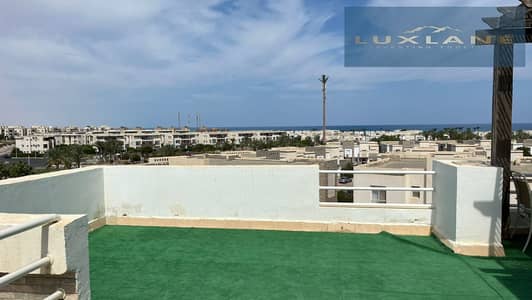 دوبلكس 4 غرف نوم للبيع في الساحل الشمالي، مطروح - IMG-20251027-WA0268. jpg