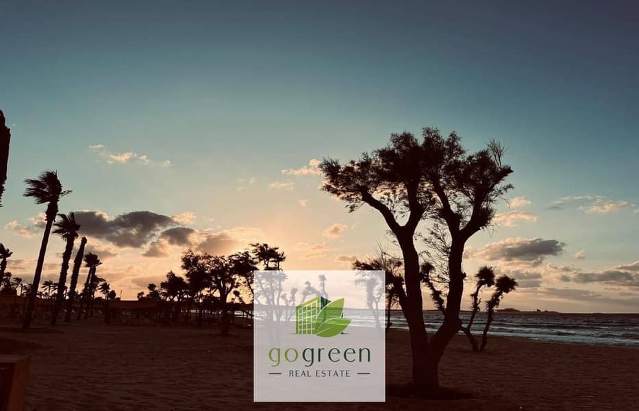 2 WhatsApp Image 2025-11-06 at 12.15. 28 PM (1). jpeg