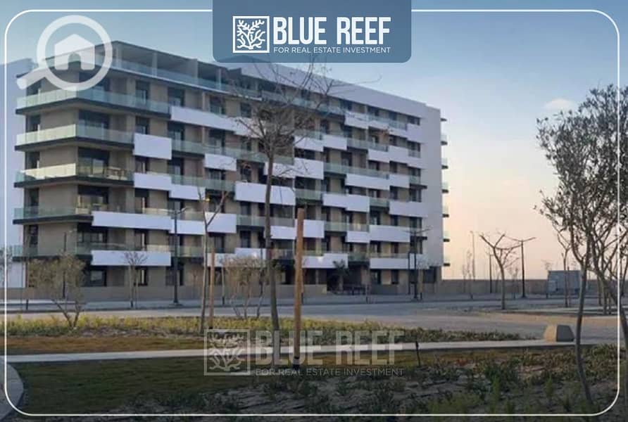 9 شئيفلبء. jpg