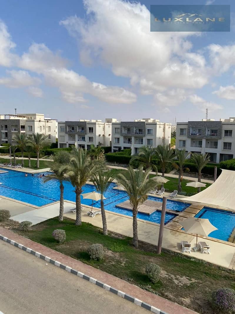 3 IMG-20251027-WA0334. jpg