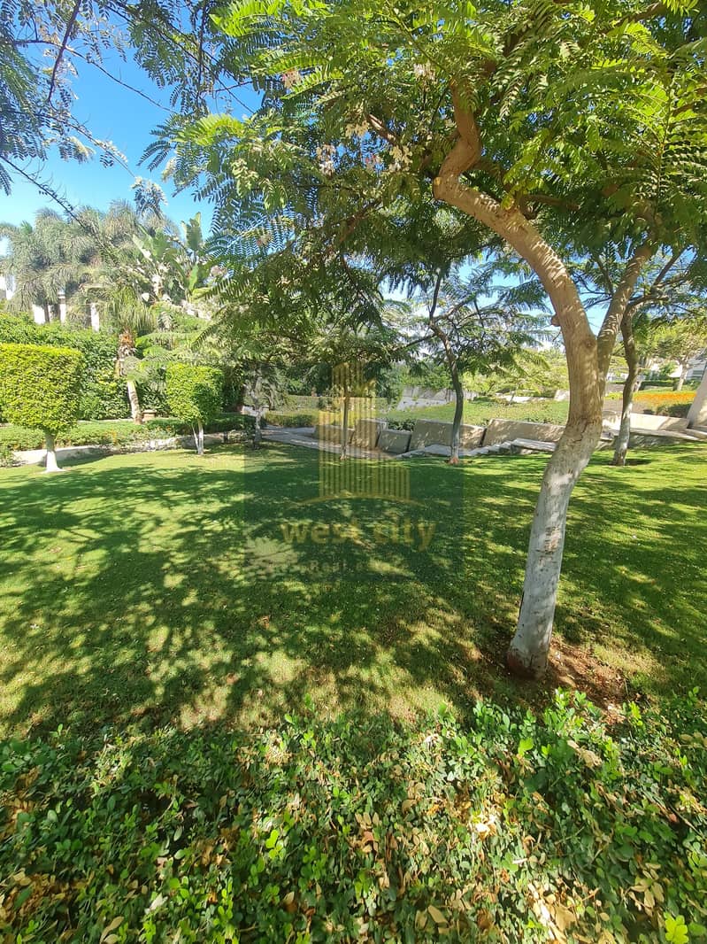 11 20251026_130330. jpg