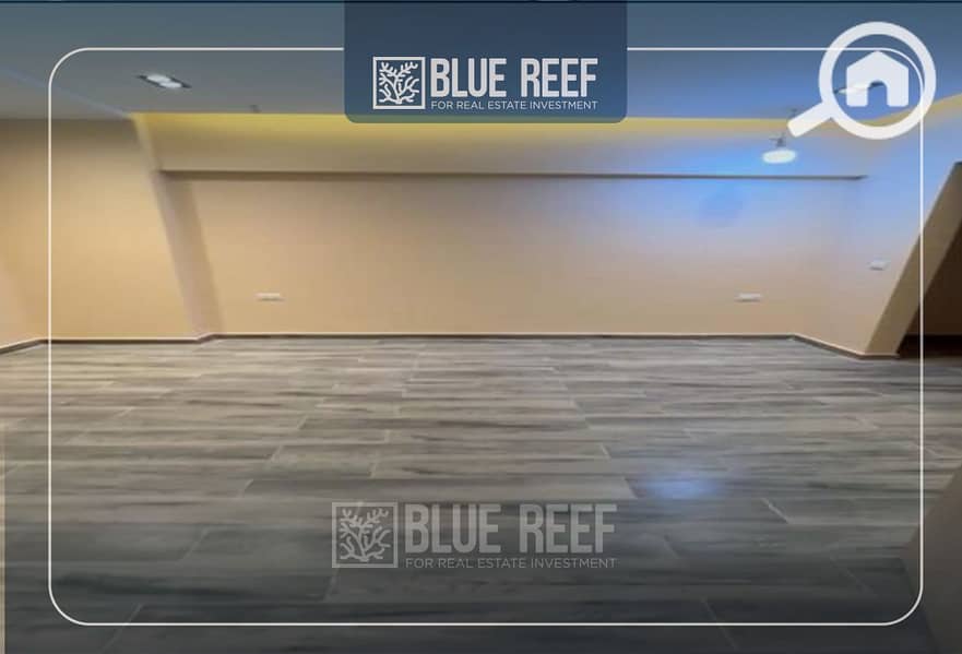 5 Bluereef - Templete. psdsdfcv (1)-Recovered-Recoveredgss. jpg