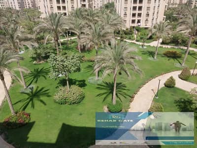 2 Bedroom Flat for Rent in New Cairo, Cairo - WhatsApp Image 2025-11-06 at 22.14. 46_0d5db308. jpg