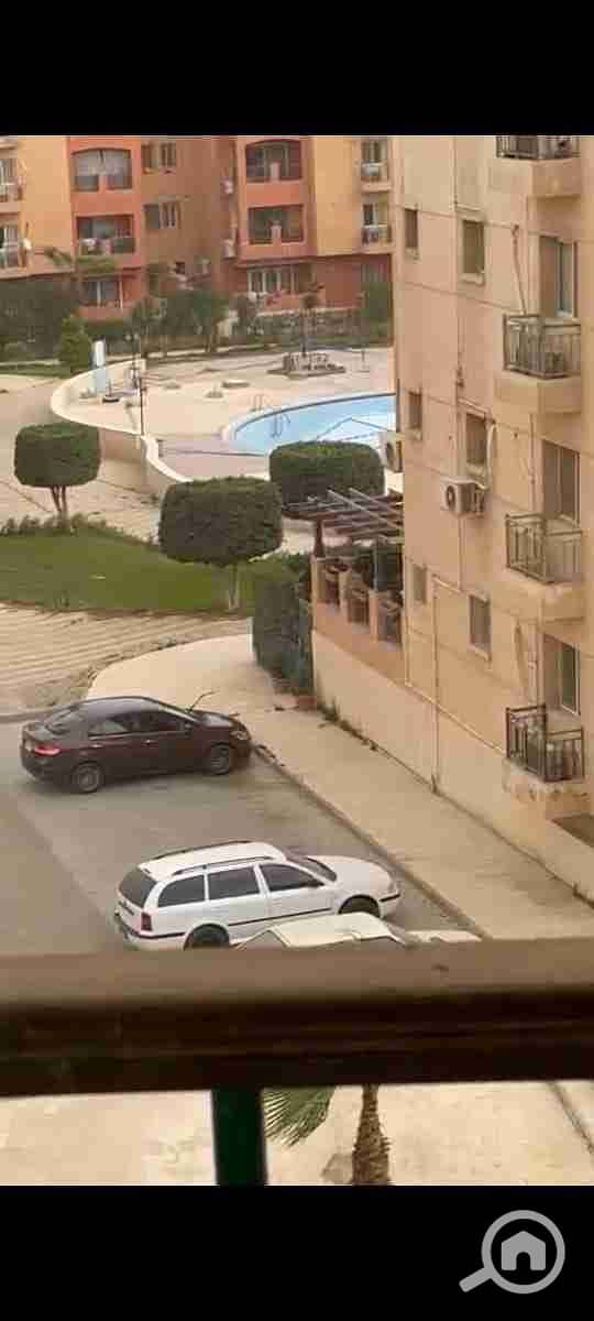 IMG-20241212-WA0004. jpg IMG-20241212-WA0004. jpg