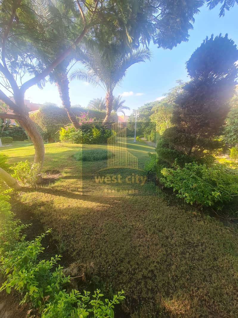 11 20251030_161817. jpg