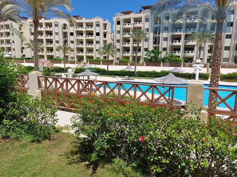 3 19966_WhatsApp_Image_2023-10-05_at_4.26. 31_PM_(6). jpeg