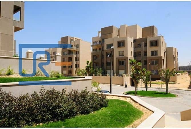 4 2967647-6f841o. jpg